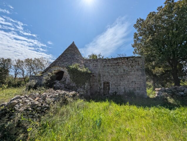 Le trullo au printemps. Le trullo au printemps, herbe verte et ciel bleu