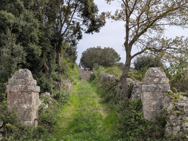 L'entrée, entre les piliers de pierre. Chemin d'entrée herbeux entre deux piliers de pierre