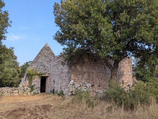 Le trullo à l'ombre des arbres. Vue de côté du trullo à l'ombre d'un grand arbre