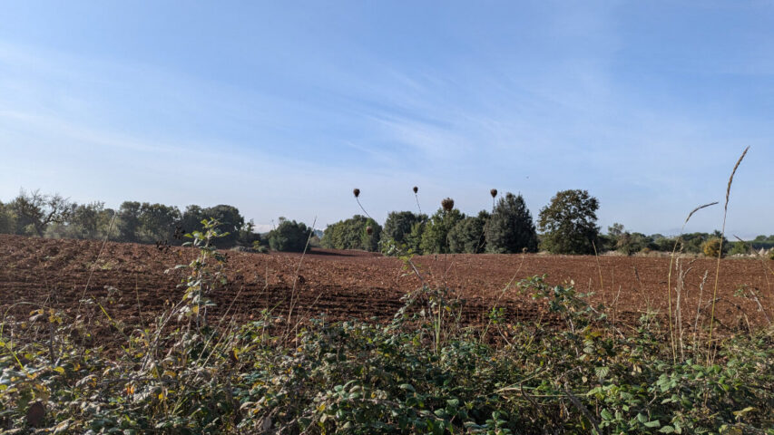 Le terrain en octobre. Le terrain agricole de Trullo Rosa en automne, vu depuis la route